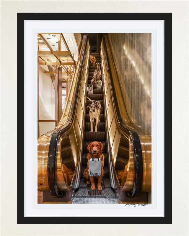 "Escalator Ride, Neiman Marcus, Downtown Dallas" Framed Fine Art Photography Print